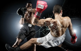 Boxe - A.s.d. Freestyle Sporting Club
